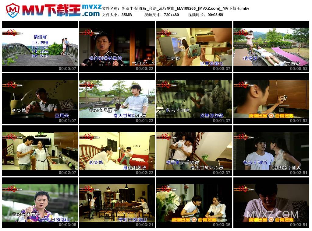 陈茂丰-情难解_台语_流行歌曲_MA109265